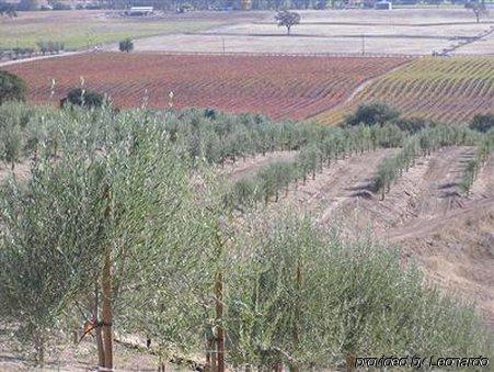 Alta Cresta Orchard & Inn El Paso de Robles Facilidades foto